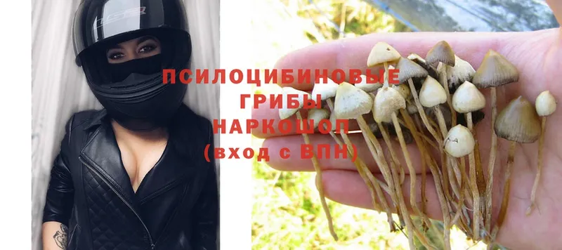 кракен ССЫЛКА  Ахтубинск  Галлюциногенные грибы MAGIC MUSHROOMS  закладки 